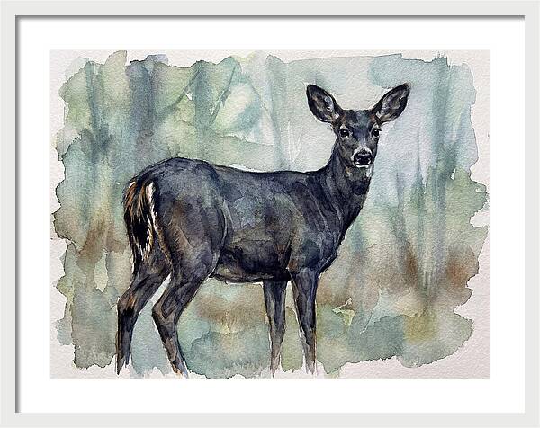 Black Tailed Deer Serenity