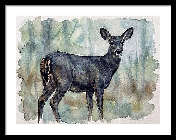 Black Tailed Deer Serenity