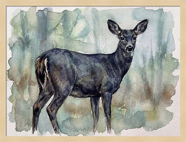 Black Tailed Deer Serenity