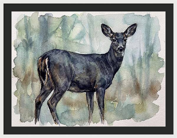 Black Tailed Deer Serenity
