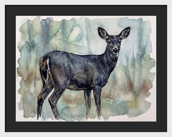 Black Tailed Deer Serenity