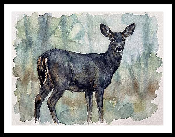 Black Tailed Deer Serenity