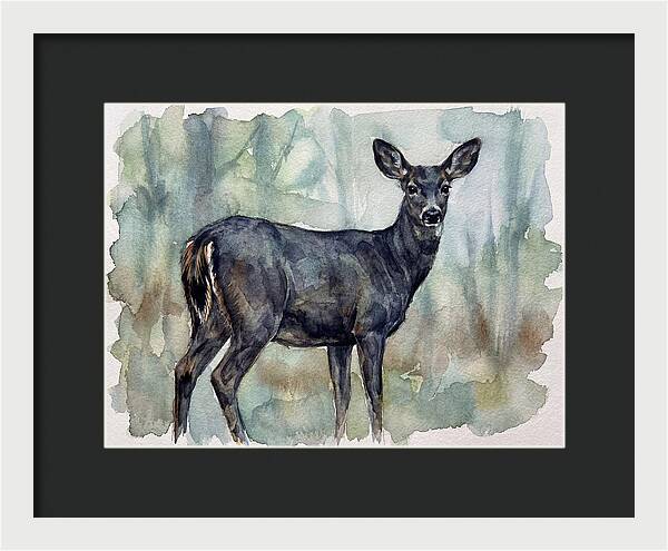 Black Tailed Deer Serenity