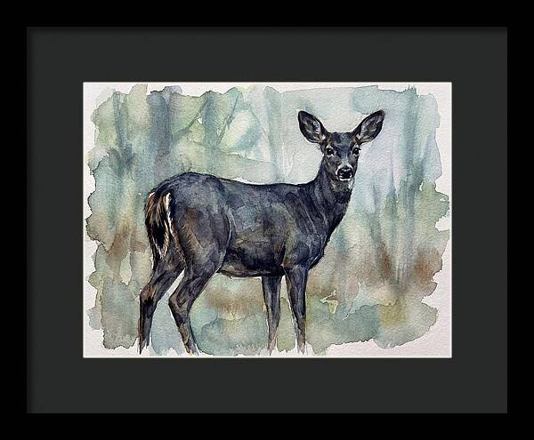 Black Tailed Deer Serenity