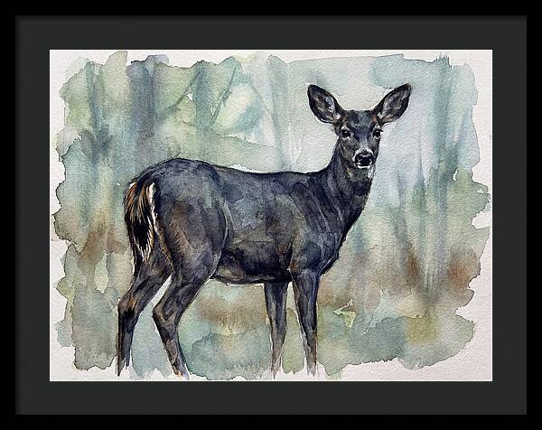 Black Tailed Deer Serenity