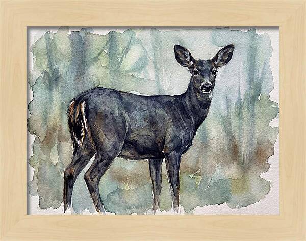 Black Tailed Deer Serenity
