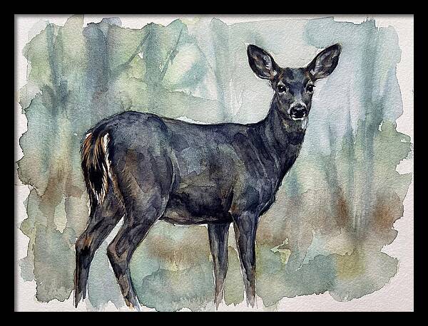 Black Tailed Deer Serenity