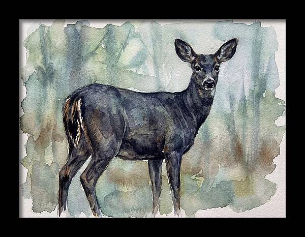 Black Tailed Deer Serenity