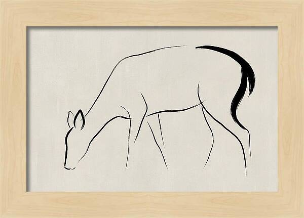 Black Tailed Deer Silhouette