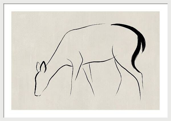 Black Tailed Deer Silhouette