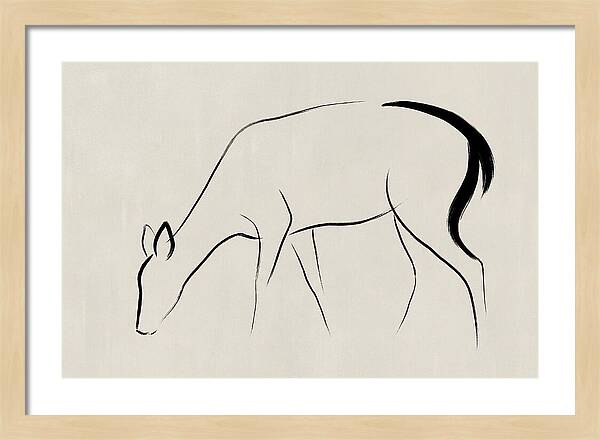 Black Tailed Deer Silhouette