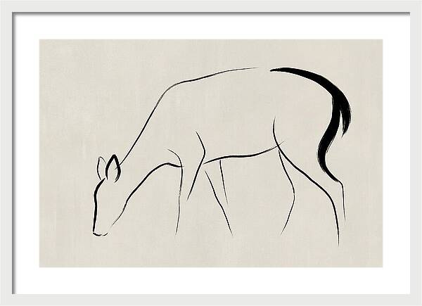 Black Tailed Deer Silhouette