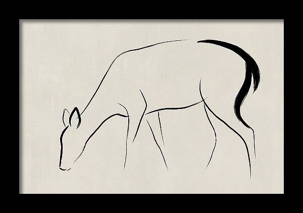 Black Tailed Deer Silhouette