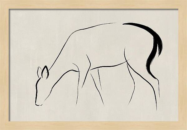 Black Tailed Deer Silhouette