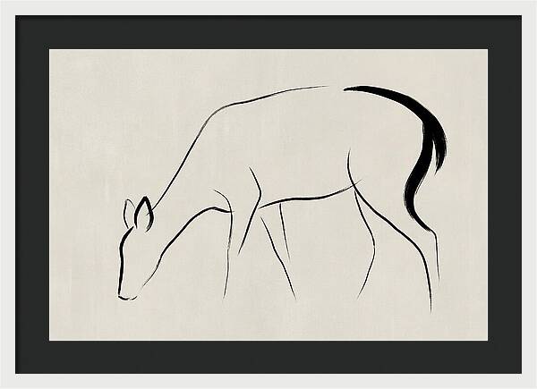 Black Tailed Deer Silhouette