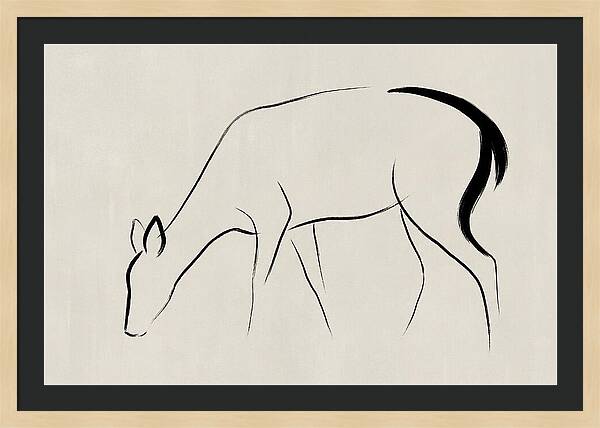 Black Tailed Deer Silhouette