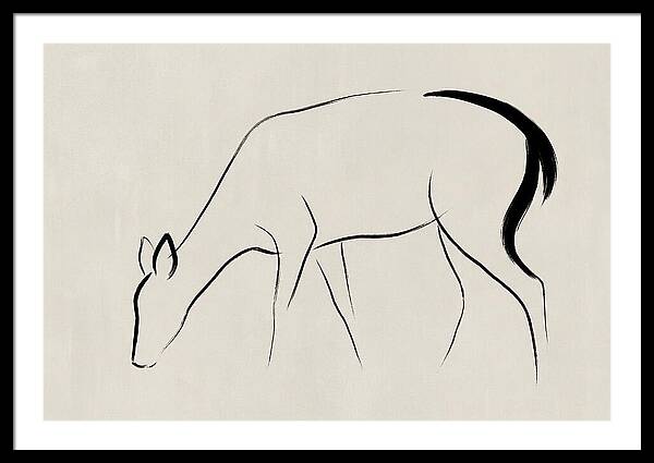 Black Tailed Deer Silhouette