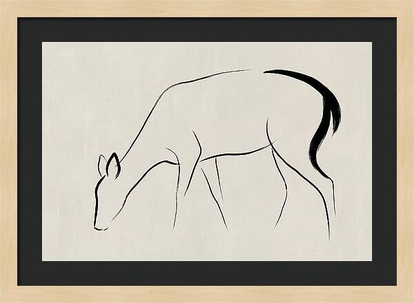 Black Tailed Deer Silhouette