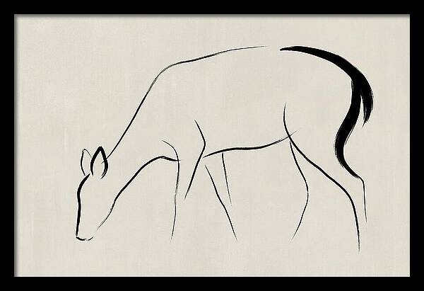Black Tailed Deer Silhouette