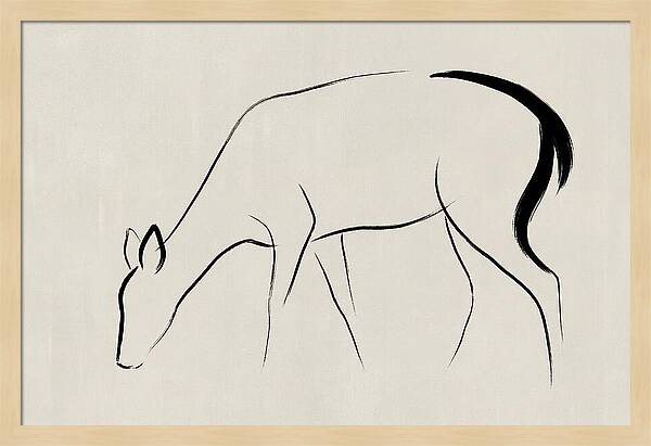 Black Tailed Deer Silhouette