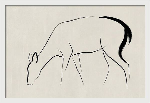 Black Tailed Deer Silhouette