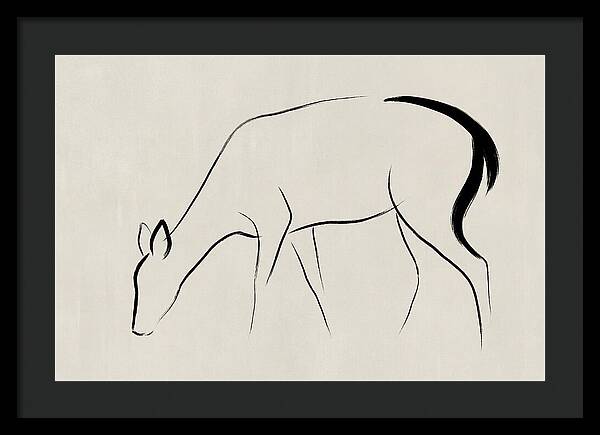Black Tailed Deer Silhouette