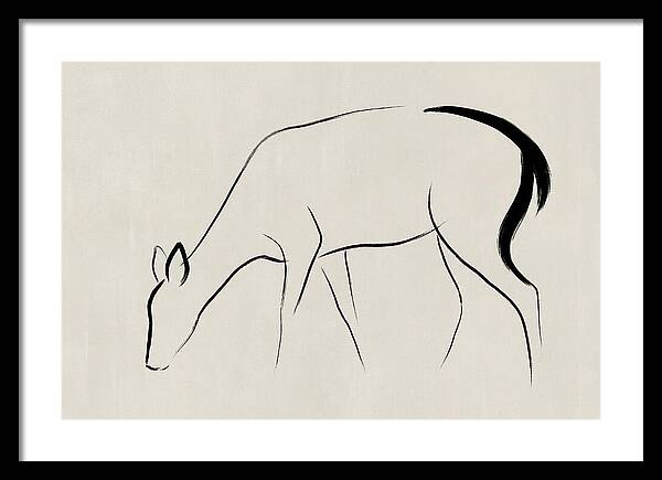 Black Tailed Deer Silhouette