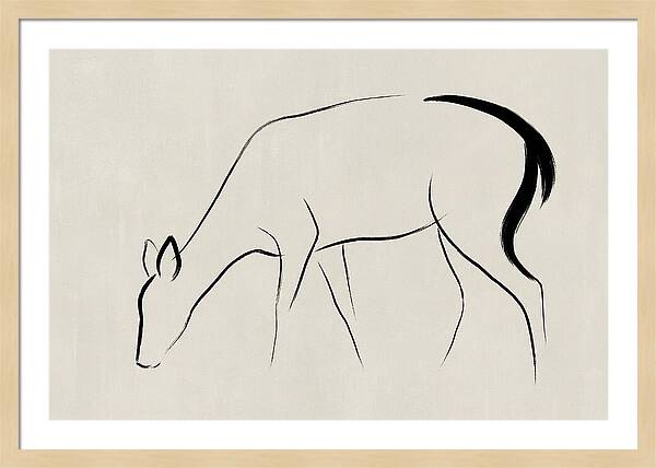 Black Tailed Deer Silhouette