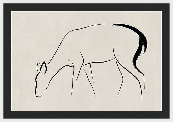 Black Tailed Deer Silhouette