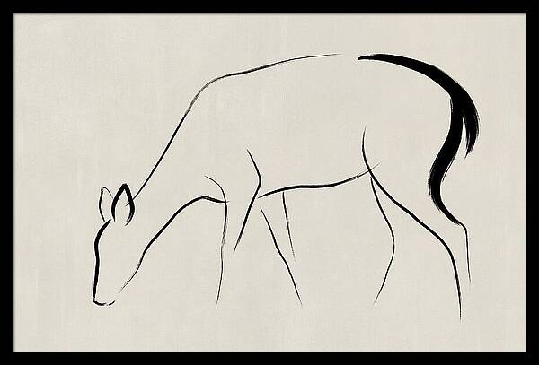 Black Tailed Deer Silhouette