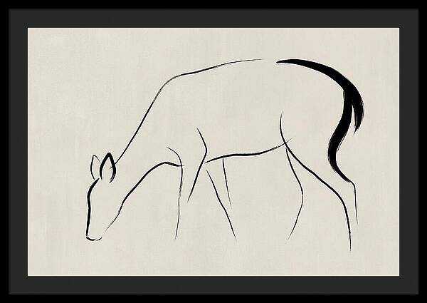 Black Tailed Deer Silhouette