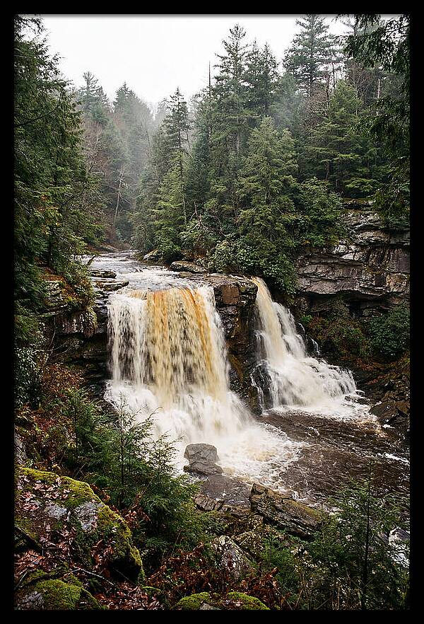 Blackwater Falls Serenity