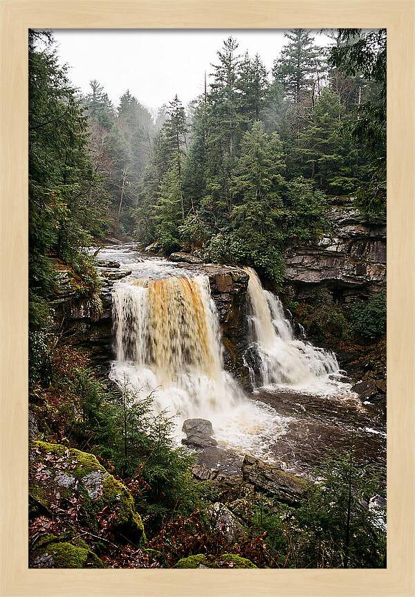 Blackwater Falls Serenity