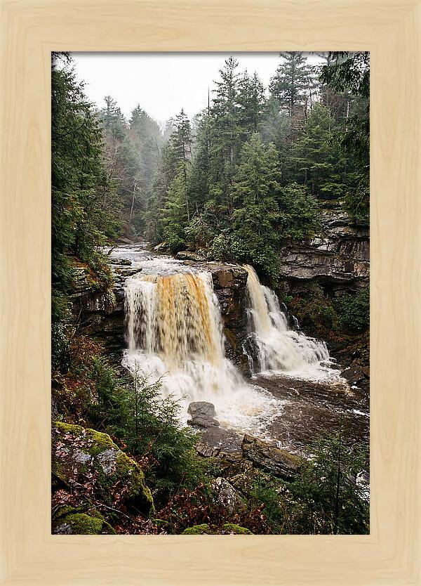 Blackwater Falls Serenity