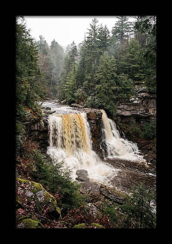Blackwater Falls Serenity