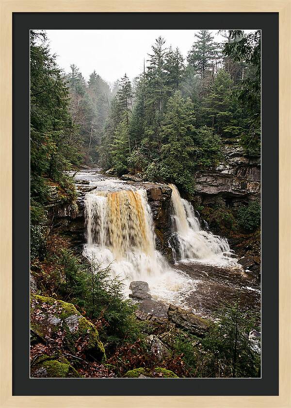 Blackwater Falls Serenity