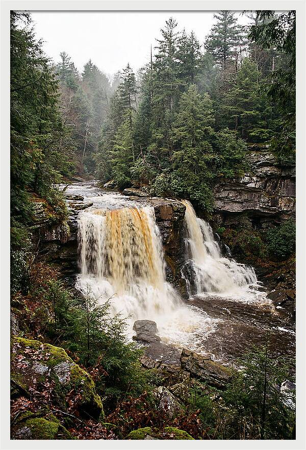 Blackwater Falls Serenity