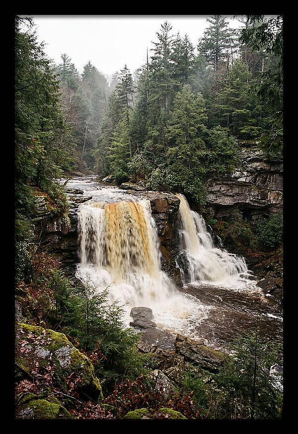 Blackwater Falls Serenity