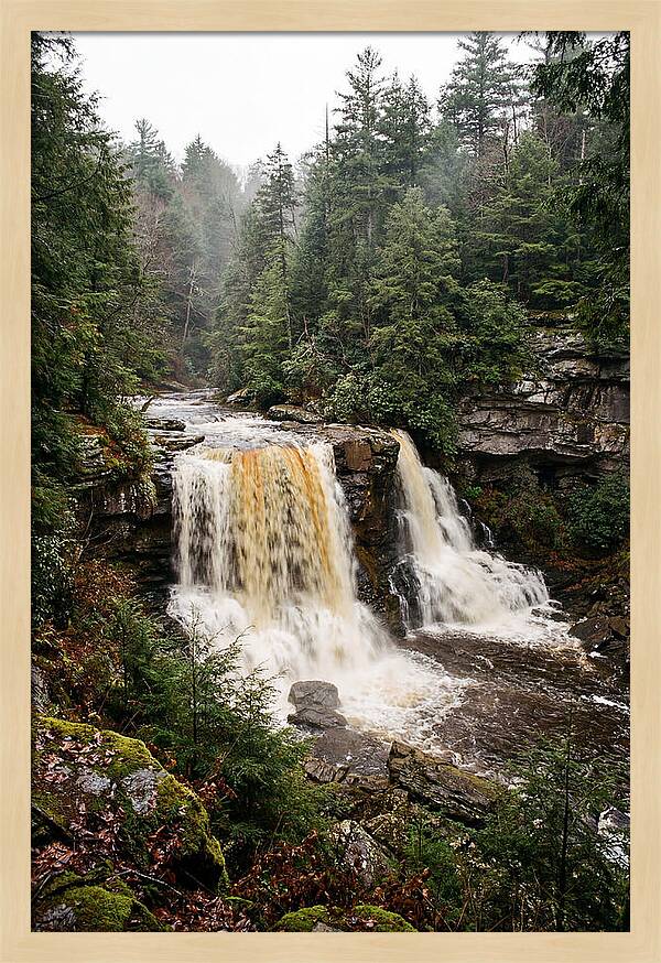 Blackwater Falls Serenity