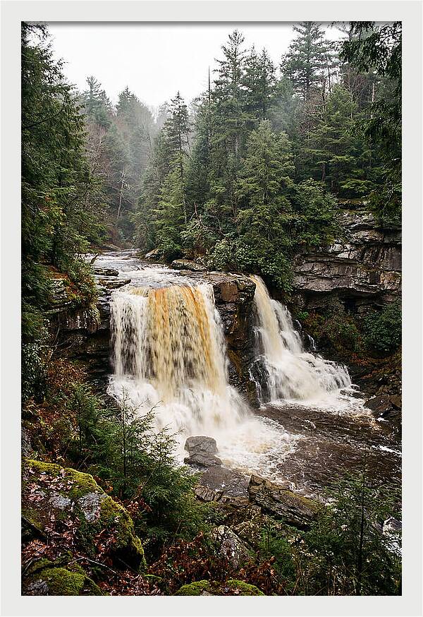 Blackwater Falls Serenity