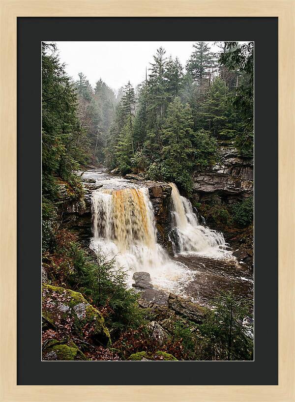 Blackwater Falls Serenity