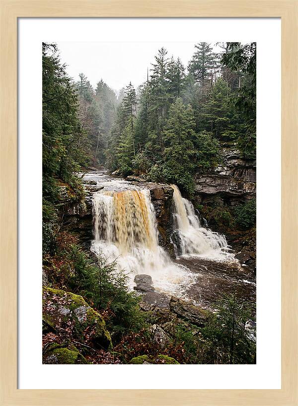 Blackwater Falls Serenity