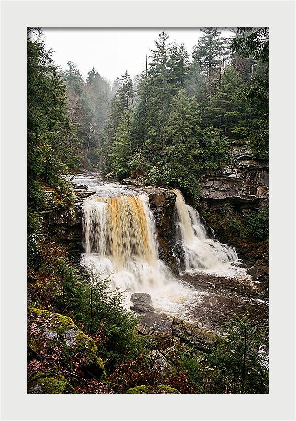 Blackwater Falls Serenity