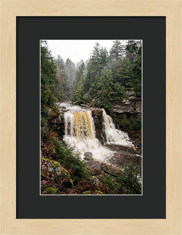 Blackwater Falls Serenity