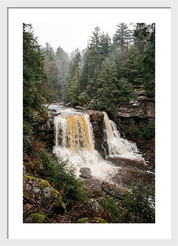 Blackwater Falls Serenity