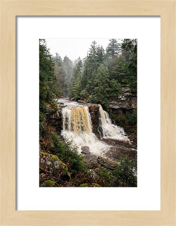 Blackwater Falls Serenity