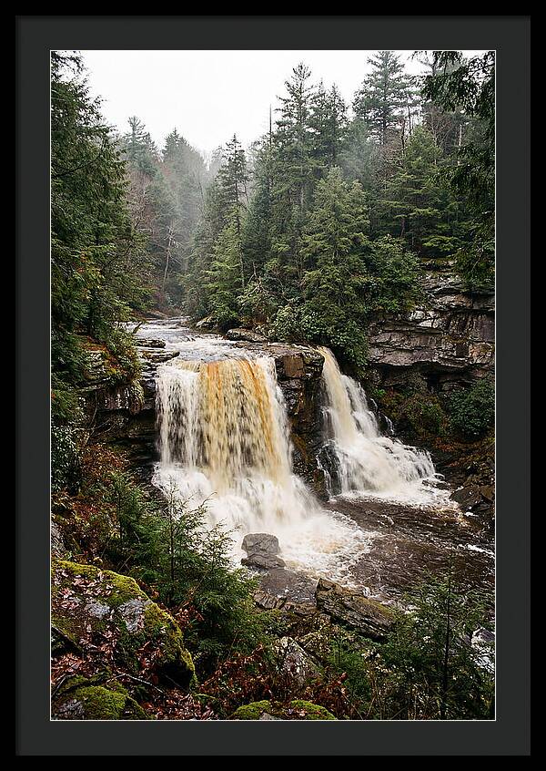 Blackwater Falls Serenity