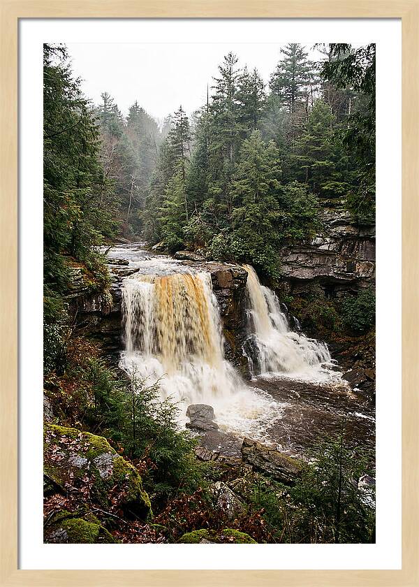 Blackwater Falls Serenity