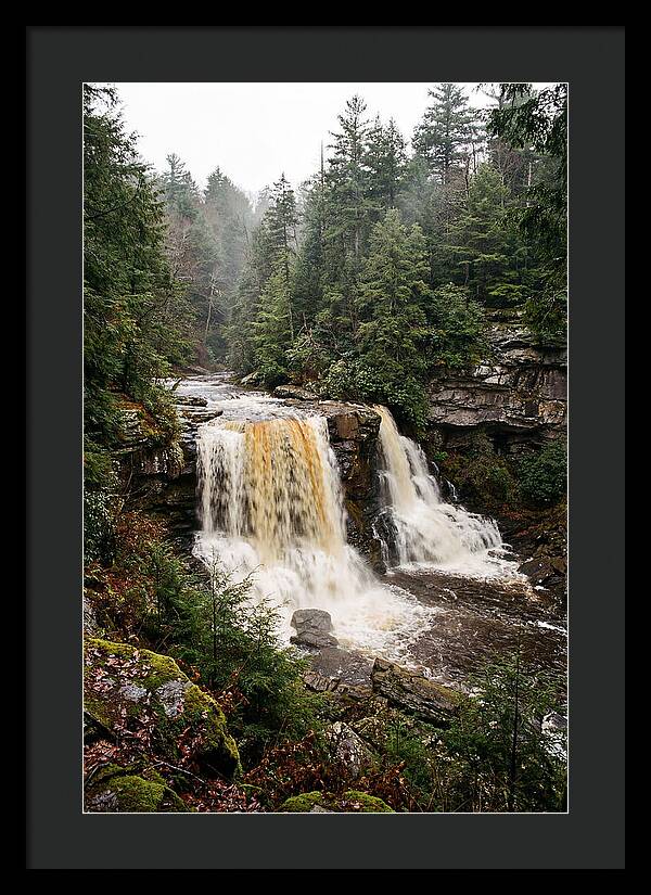 Blackwater Falls Serenity