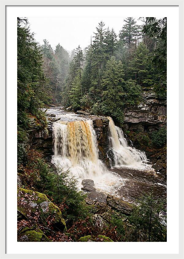 Blackwater Falls Serenity